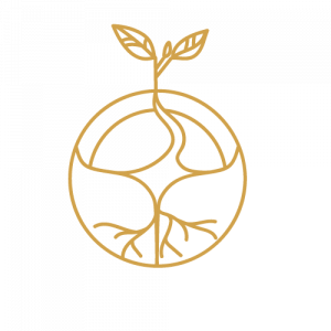 Praxis Logo Gold