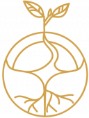 praxis logo gold